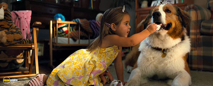 A still #9 from A Dog's Journey (2019)