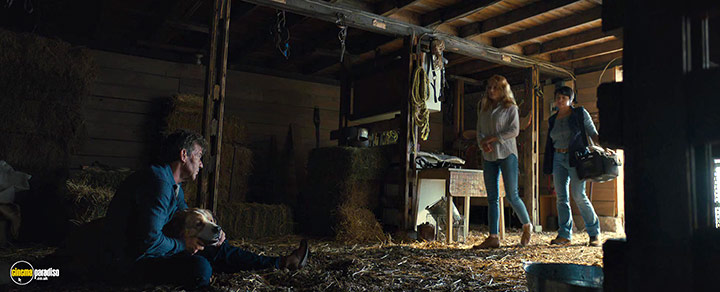 A still #8 from A Dog's Journey (2019)