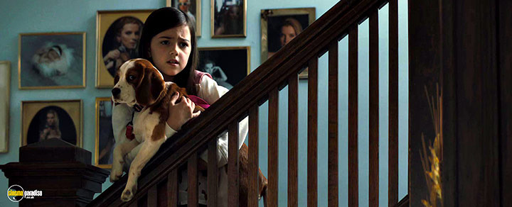 A still #11 from A Dog's Journey (2019)