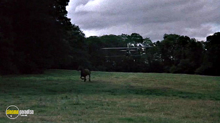 A still #25 from Von Richthofen and Brown (1971)