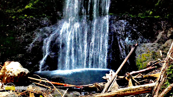 A still #1 from Twilight in Forks: The Saga of The Real Town (2009)
