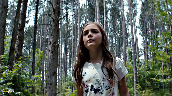 A still #24 from Pet Sematary (2019)