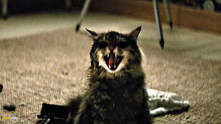 A still #17 from Pet Sematary (2019)