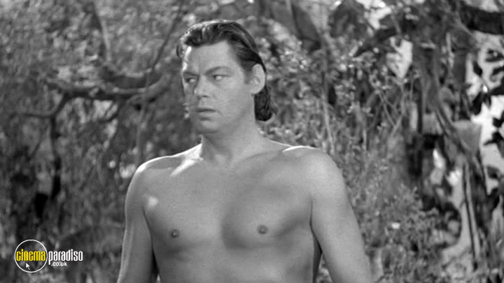 A still #1 from Tarzan Triumphs/ Tarzan's Desert Mystery (1943)
