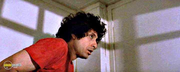 A still #19 from The Hot Rock (1972)