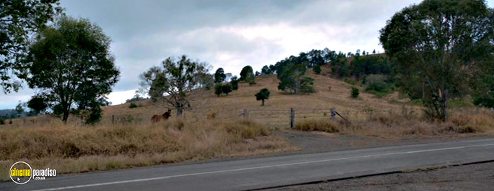 A still #22 from Boar (2018)