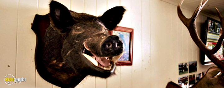 A still #1 from Boar (2018)