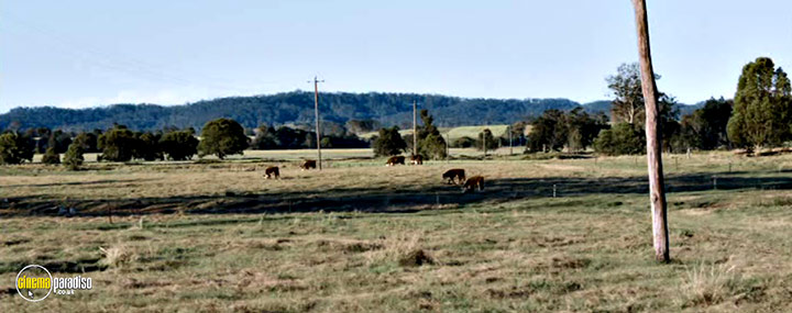 A still #12 from Boar (2018)