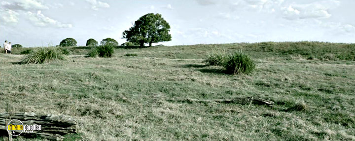 A still #10 from Boar (2018)