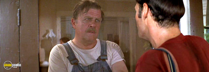 A still #11 from Norma Rae (1979)