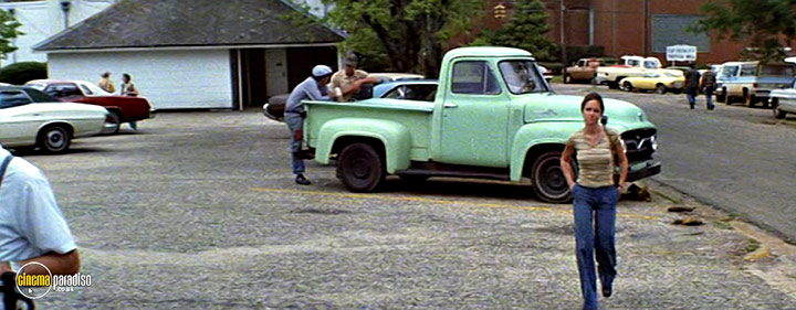 A still #21 from Norma Rae (1979)