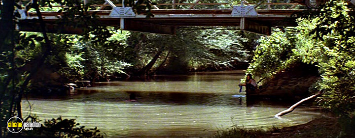 A still #20 from Norma Rae (1979)