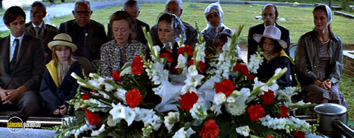 A still #19 from Norma Rae (1979)