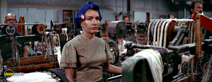 A still #12 from Norma Rae (1979)