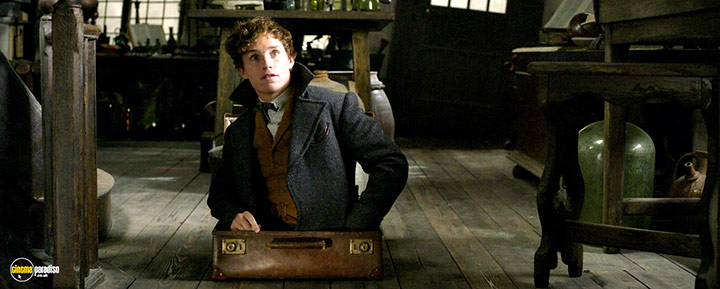 A still #1 from Fantastic Beasts: The Crimes of Grindelwald (2018)
