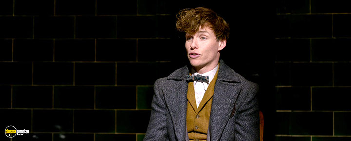 A still #23 from Fantastic Beasts: The Crimes of Grindelwald (2018)