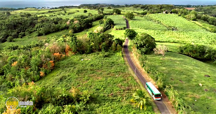 A still #24 from Death in Paradise: Series 8 (2019)