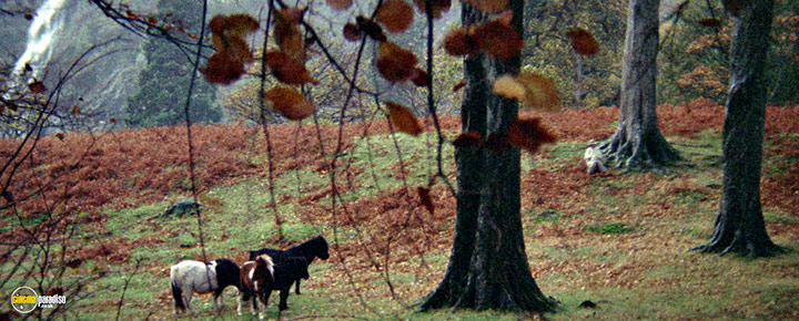 A still #25 from Images (1972)