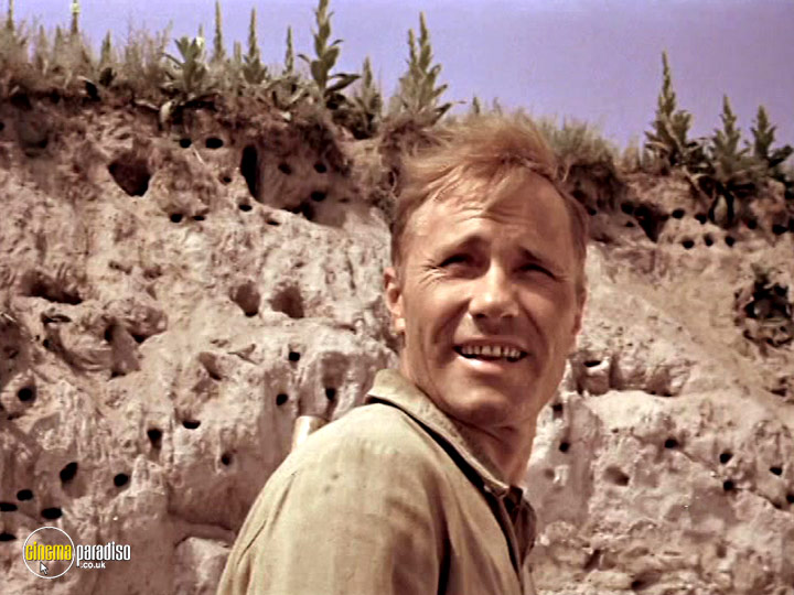 A still #2 from They Fought for Their Motherland (1975)