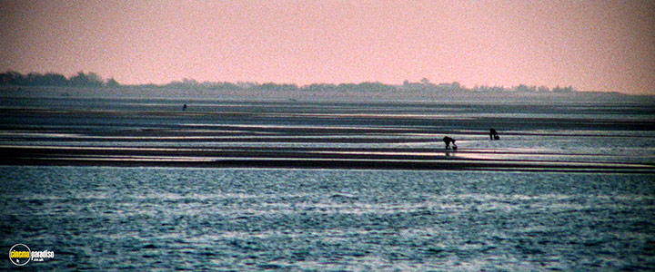 A still #33 from Death in Venice (1971)