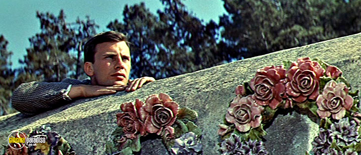 A still #17 from And God Created Woman (1956)