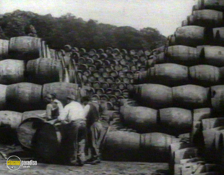A still #5 from The Great War 1914-1918 (2005)