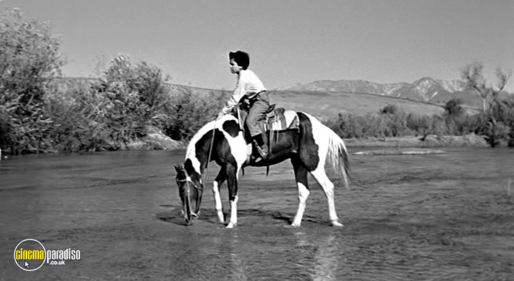 A still #17 from The Tin Star (1957)