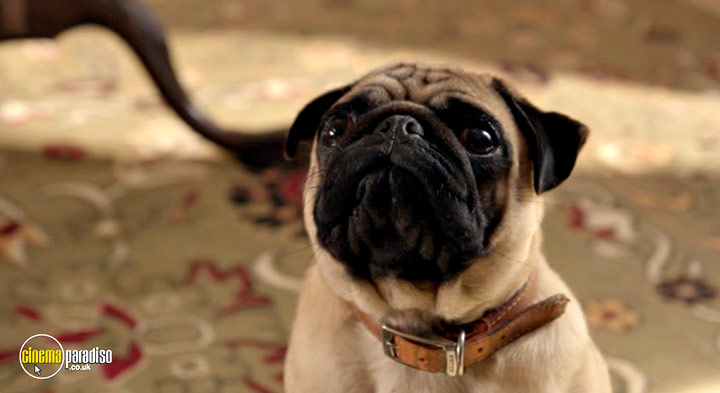 A still #9 from Blandings: Series 2 (2014)