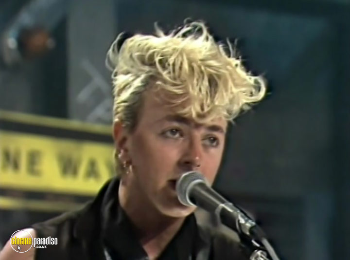 A still #1 from Stray Cats: Live at Montreux 1981 (1981)