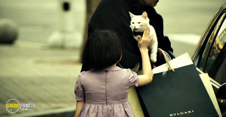 A still #1 from The Cat (2011)