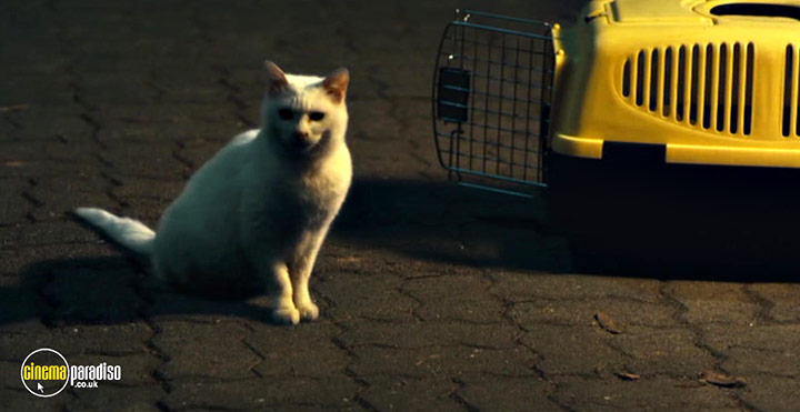 A still #10 from The Cat (2011)