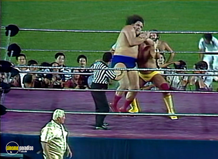 A still #4 from Andre the Giant (2018)