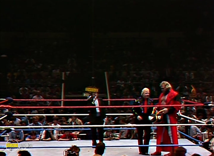 A still #8 from Andre the Giant (2018)