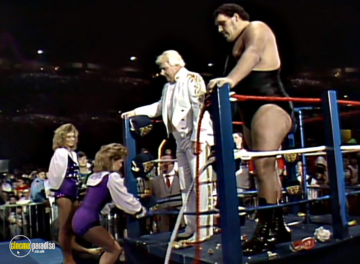 A still #11 from Andre the Giant (2018)