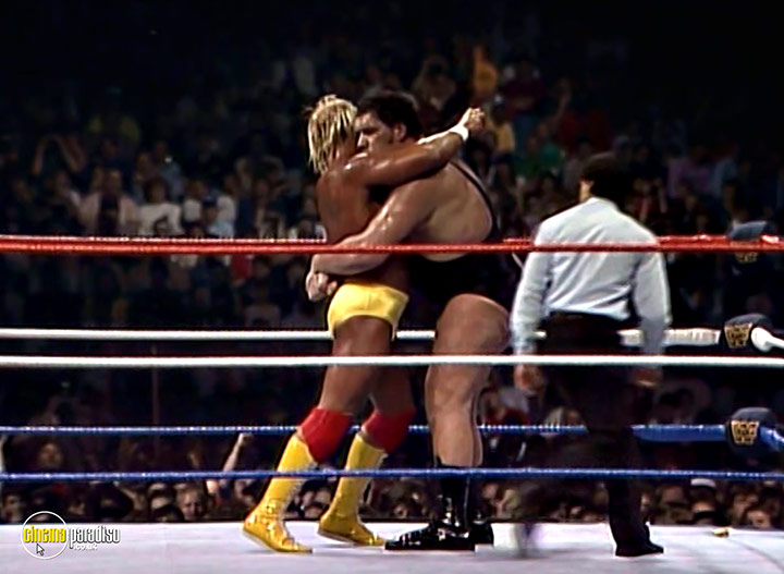 A still #13 from Andre the Giant (2018)