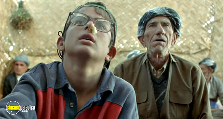 A still #16 from Turtles Can Fly (2004)