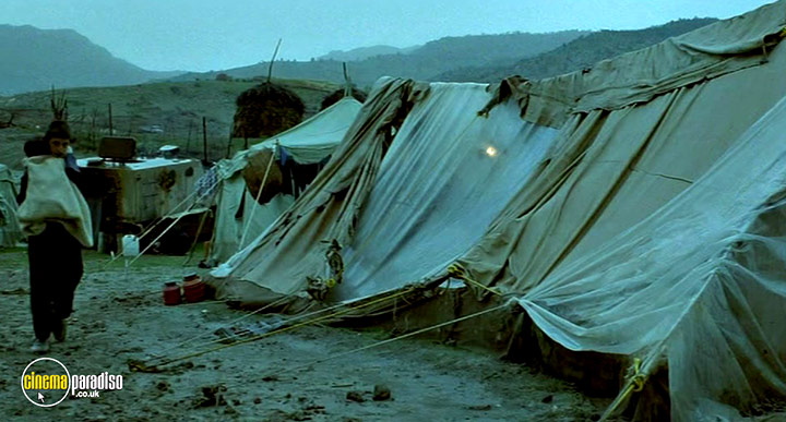 A still #8 from Turtles Can Fly (2004)