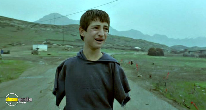 A still #3 from Turtles Can Fly (2004)