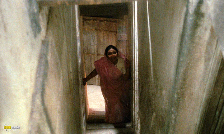 A still #31 from Heat and Dust (1983)