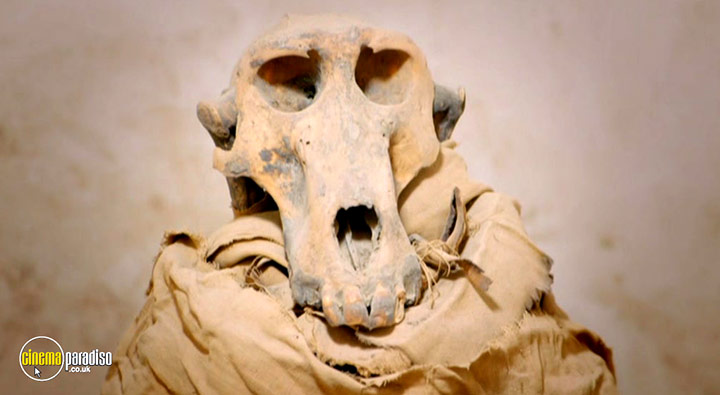 A still #20 from The Nile: 5,000 Years of History (2019)