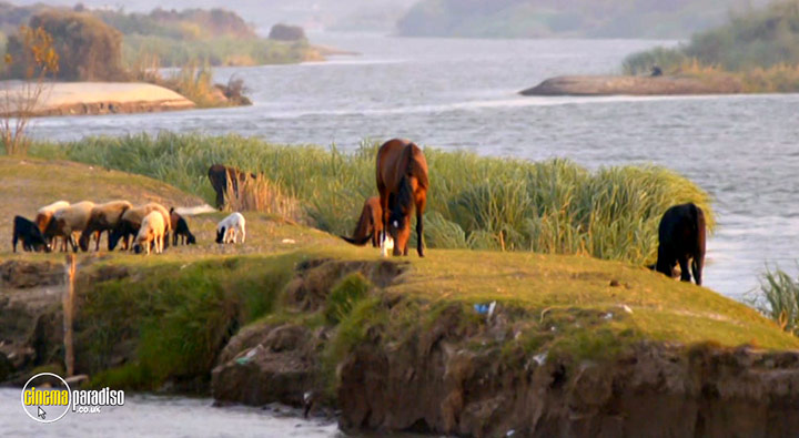 A still #18 from The Nile: 5,000 Years of History (2019)