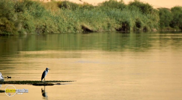 A still #3 from The Nile: 5,000 Years of History (2019)