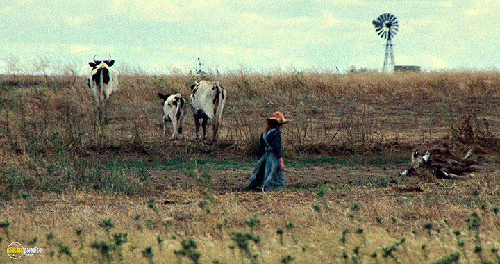 A still #14 from My Brilliant Career (1979)