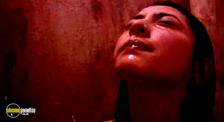 A still #14 from St John's Wort (2001)