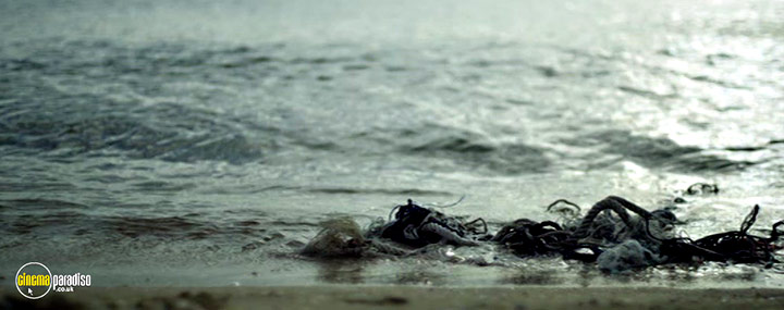 A still #18 from Blue (2017)