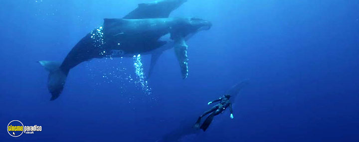 A still #4 from Blue (2017)