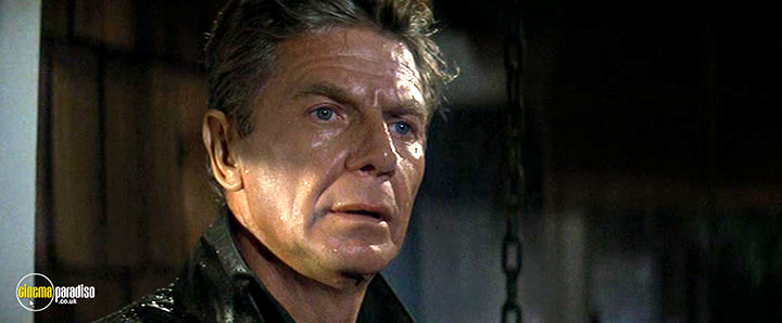 A still #34 from Sometimes a Great Notion (1970)