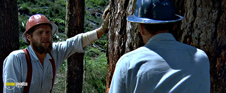 A still #22 from Sometimes a Great Notion (1970)
