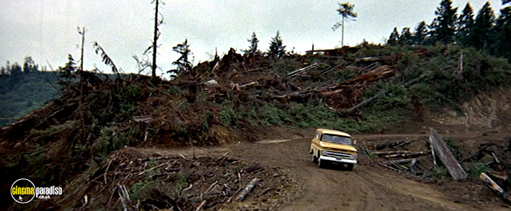 A still #13 from Sometimes a Great Notion (1970)