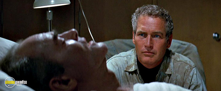 A still #11 from Sometimes a Great Notion (1970)